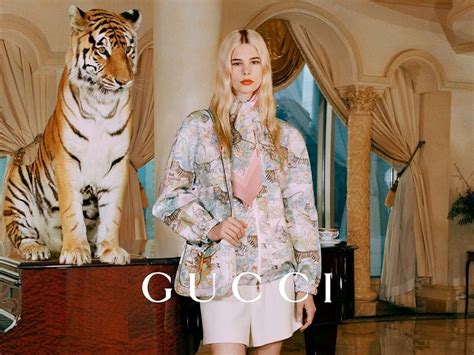 Gucci tiger 2024